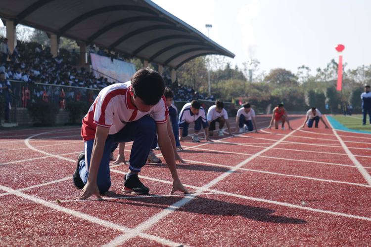 尊龙凯时人生就是博官网:男子鞍马比赛的高难度挑战
