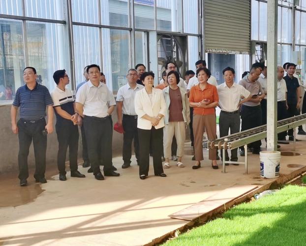 高尔夫球场风云再起,尊龙凯时带您了解最新动态。,echelon高尔夫