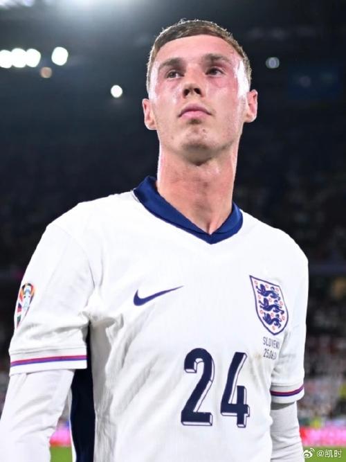 尊龙凯时:如何应对高尔夫比赛中的逆风天气?,高尔夫比赛视频