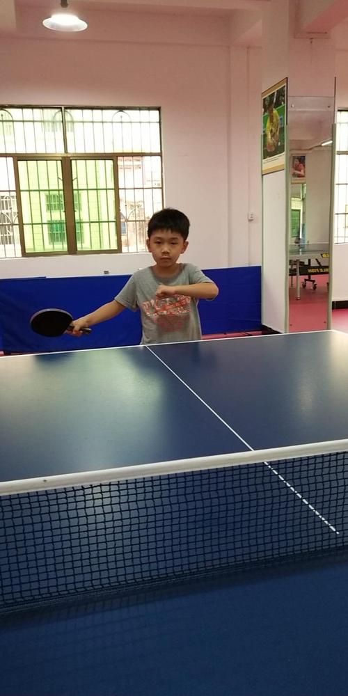 尊龙凯时官网:乒乓球双打拆档重组背后的胜率变化