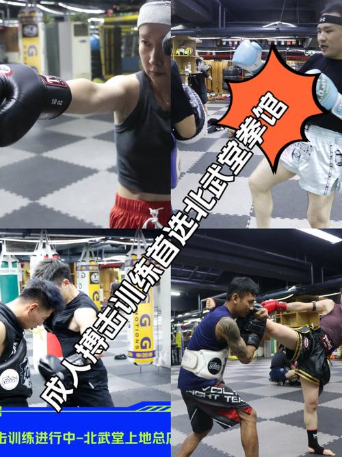 尊龙凯时解读:综合格斗新秀如何获得下注青睐,尊龙武术散打泰拳搏击俱乐部