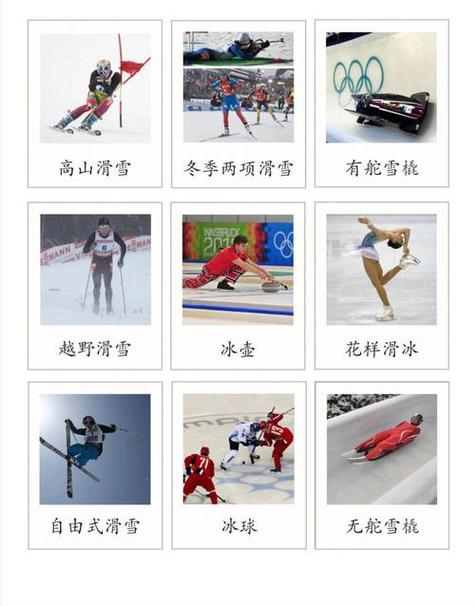 尊龙凯时app:冬奥会冰球项目观赛与投注须知,冬奥会冰球项目上场