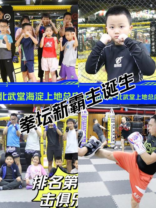 尊龙凯时观察:综合格斗选手状态与盘口关联,尊龙武术散打泰拳搏击俱乐部