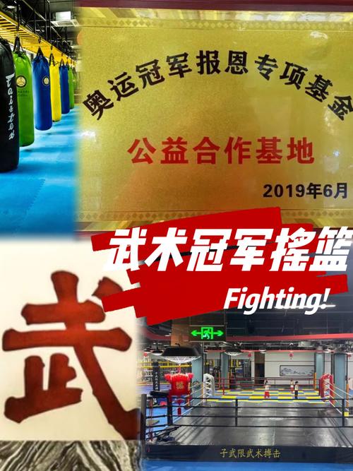 尊龙凯时观察:综合格斗选手状态与盘口关联,尊龙武术散打泰拳搏击俱乐部